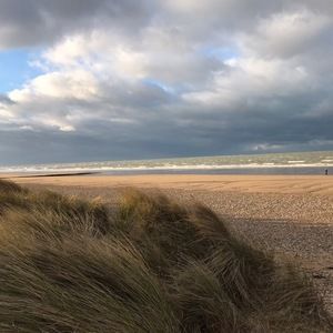 Meet your Posher, Martin